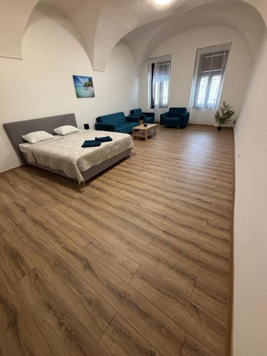Velky moderny apartman v srdci mesta
