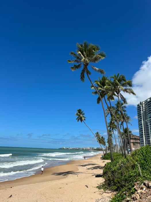 Apartamento Confortável!