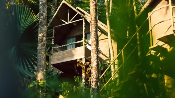 Panchavadi - Forest-Facing Treehouses with a Natural Mountain Pool
