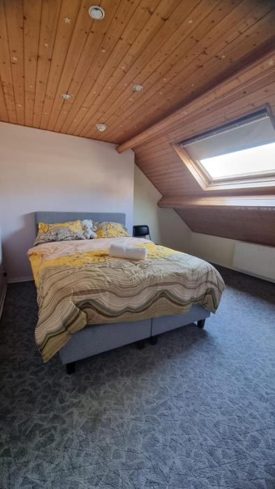 ANTWERPSESTRAAT Tomorrowland in Boom