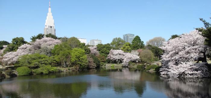TOKYO SHINJUKU EAST STUDIO with 2beds