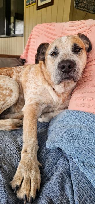 Sunnys Piece Of Paradise