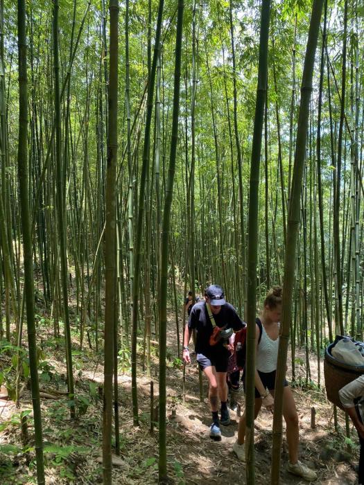 Suong May Sapa Homestay & Trekking