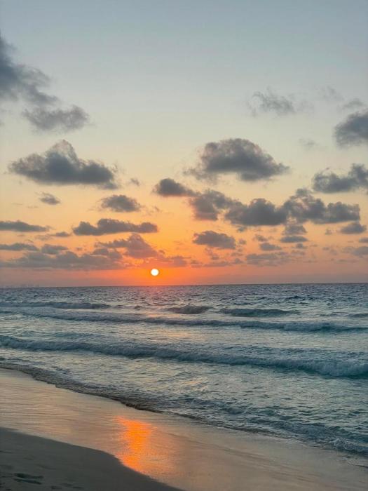 swan lake north coast