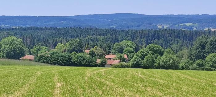 Au coeur des bois à Monadière