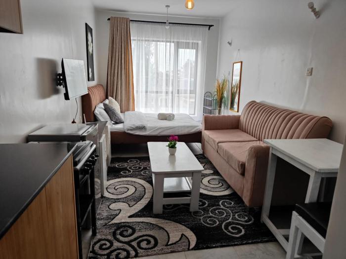 A Cosy Modern Affordable Furnished Studio Located in Tsavo Fedha