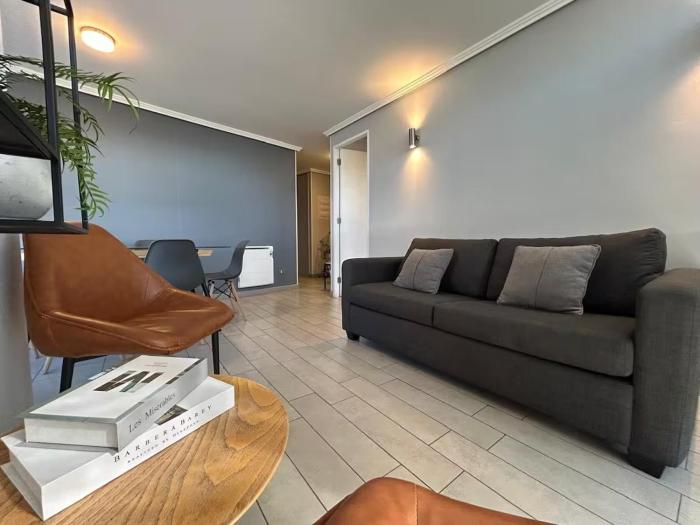 Hermosa vista de stgo 3d 2b