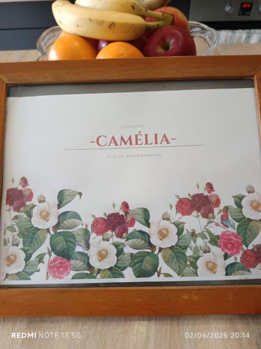 Le Clos des Romarins Gîte CAMELIA