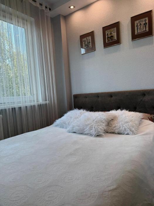 Apartamentai prie BIG
