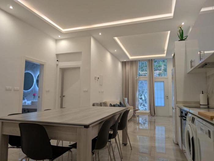 Luxury in Madrid for 10 and Pets