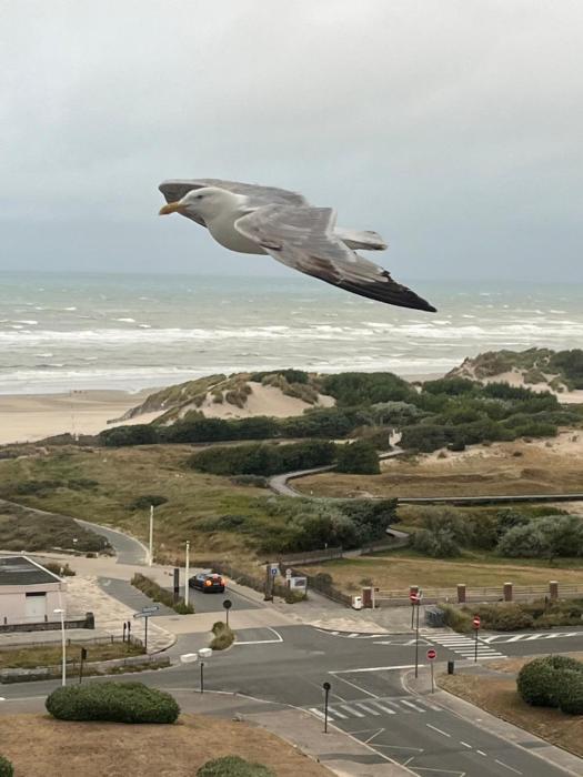 Mathilda front de mer 9e étage