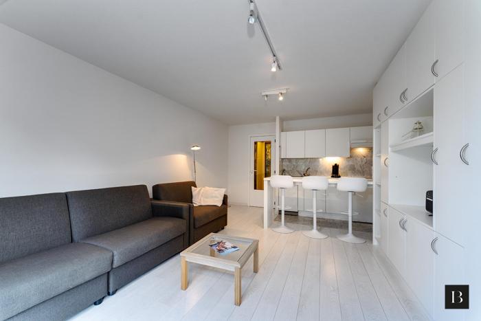 Maison Blanche A Studio B1