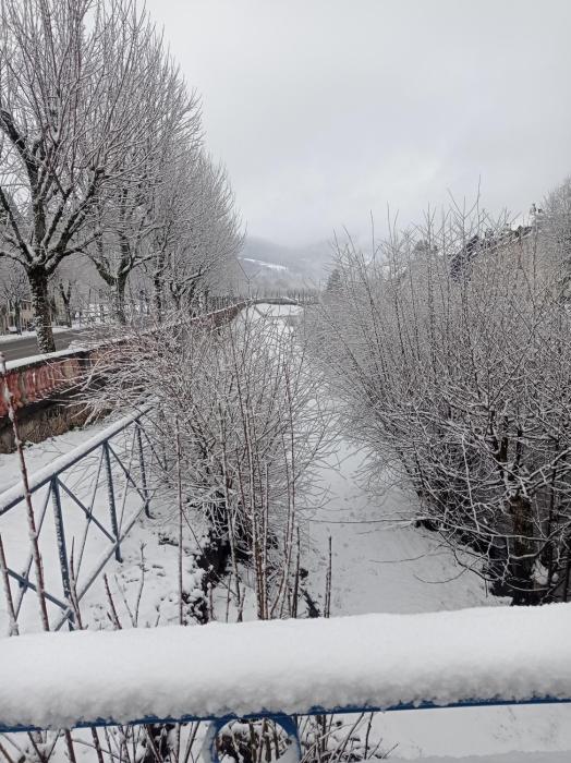 Très beau meublé lumineux