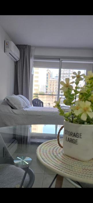 Monoambiente Zona Monumento