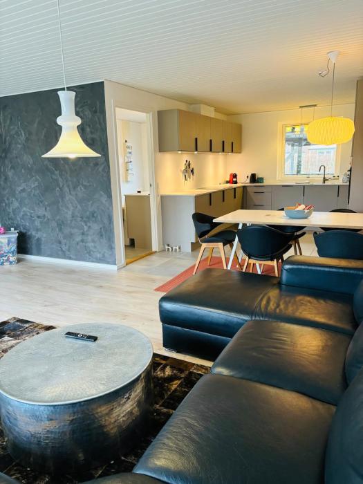 Modern house in Billund