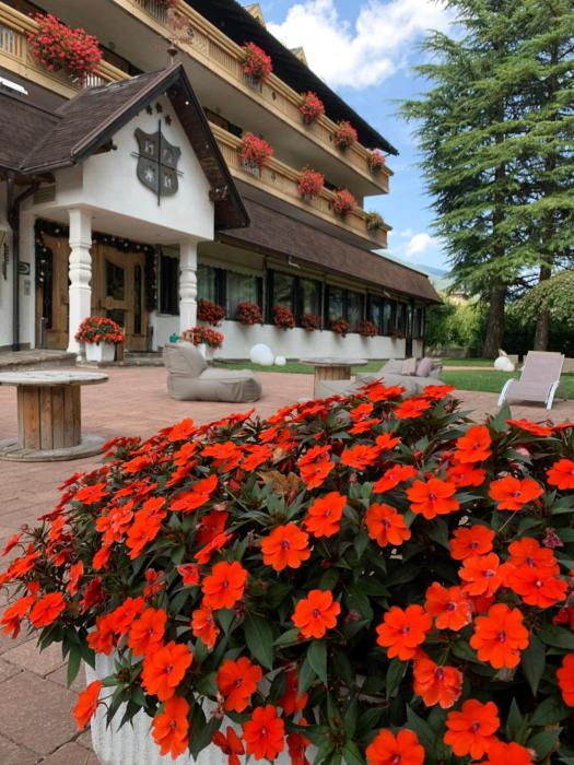 Rauzi Hotel Garnì & apartments