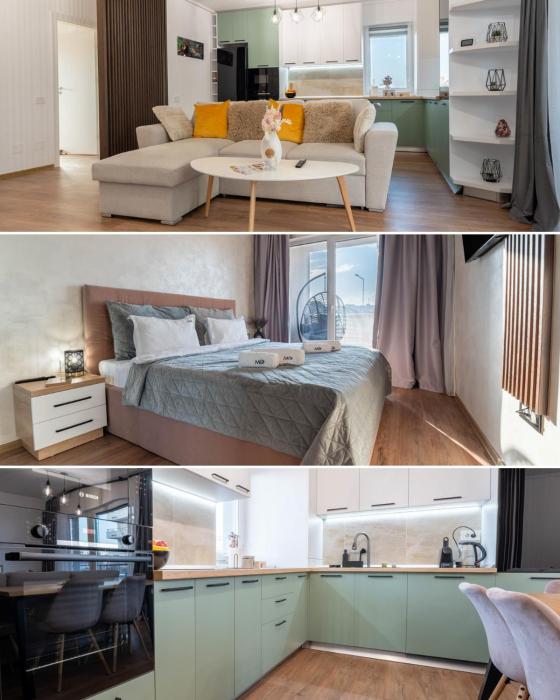 MoHost First - Mountain View Oasis