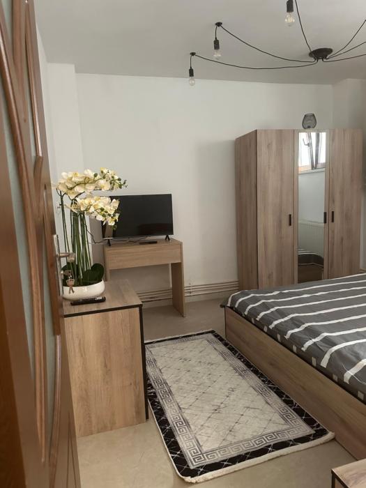 Apartament Baba Novac
