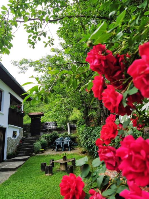 Къщи за гости Костови