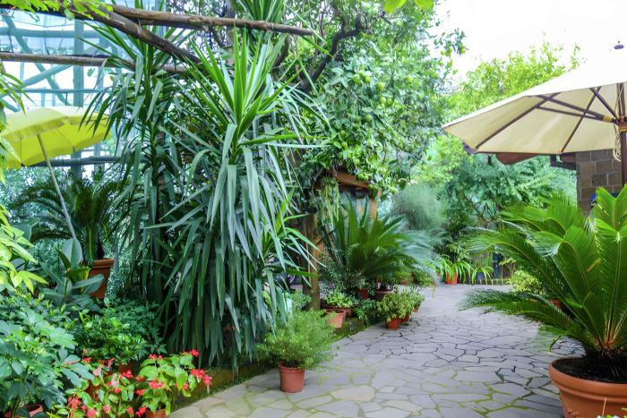 Apartment Sorrento 1