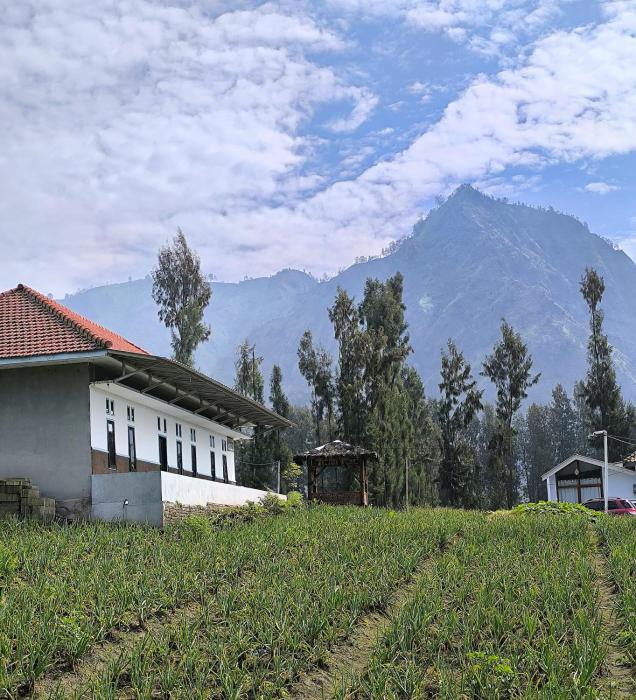 Elen Homestay by ABM