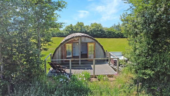 Exmoor View Log Cabin nr North Molton