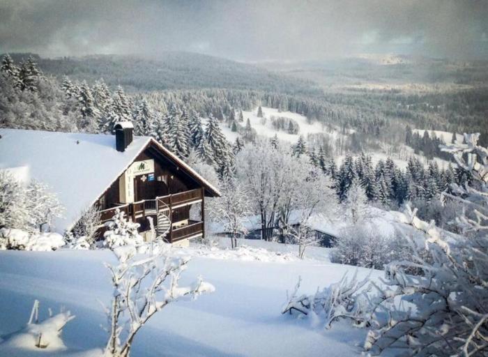 Aotearoa - Mountain apartment in Bavaria, Mitterdorf - Mitterfirmiansreut