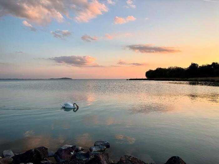 RÉV-Fülöp Panzió