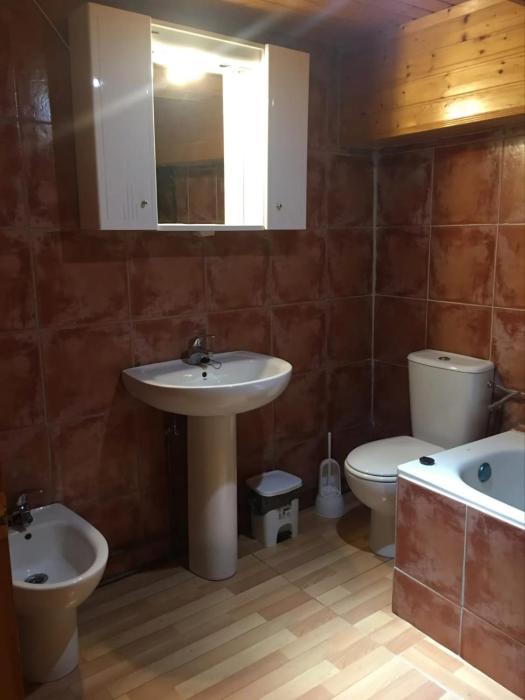 La casa de los gatos