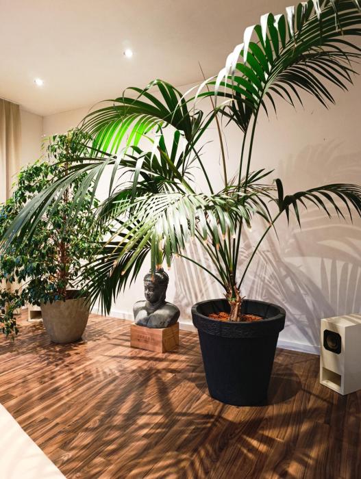 Oase der Ruhe- Übernachten in der Gesundheitspraxis im Herzen von Basel