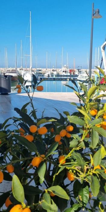 Monolocale in vicolo storico Gin Tonic Lemon