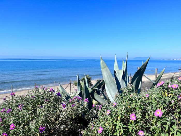 Casa duna sulla spiaggia
