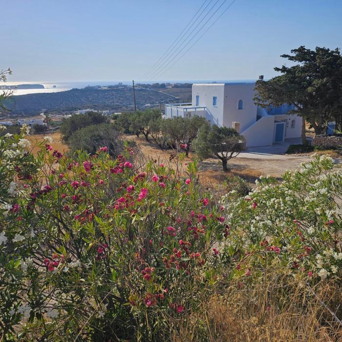 Blue and White View