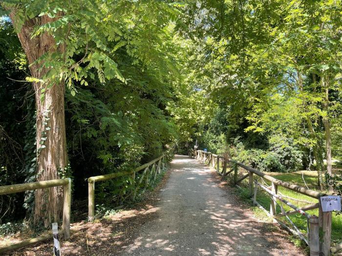 Un angolo di Paradiso immerso nel verde by Affitti Brevi Rimini