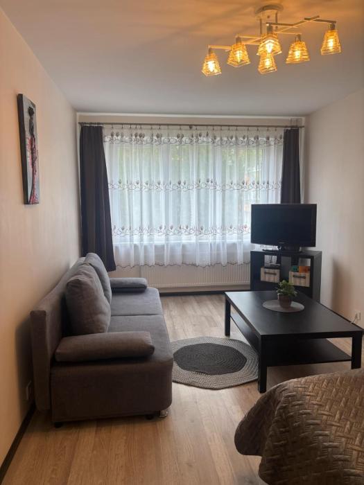 1 room apartment in Statybininku pr.