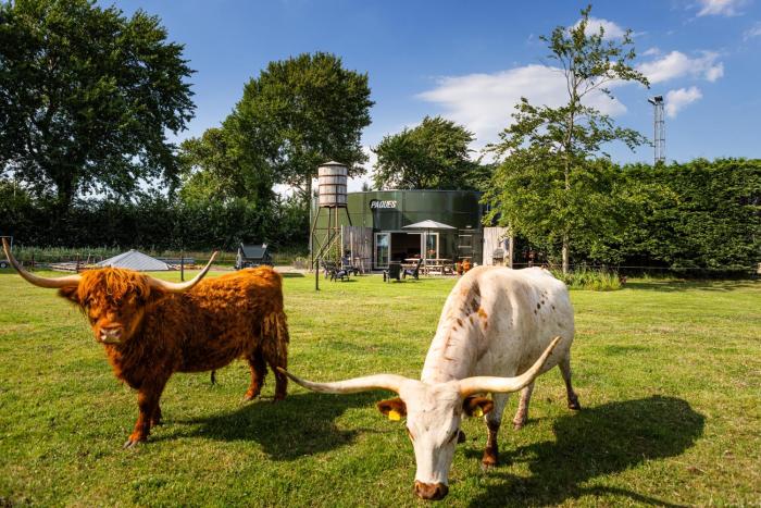 Bed&Bbq Longhornranch