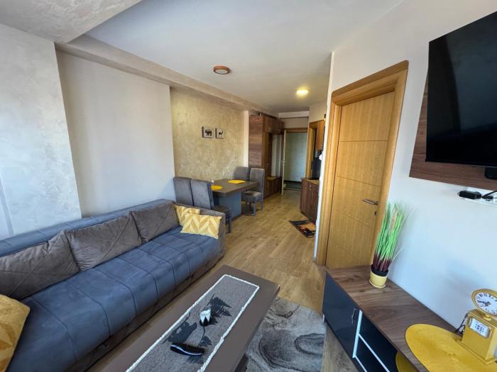 Black Bear Apartment