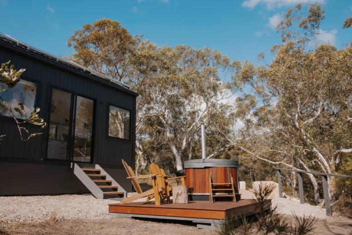 Tiny Wombat and Wallaby