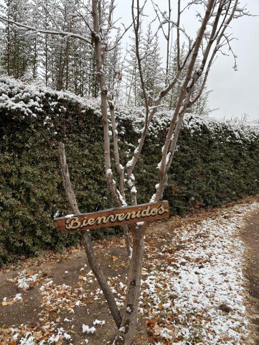 Complejo Los Abuelos