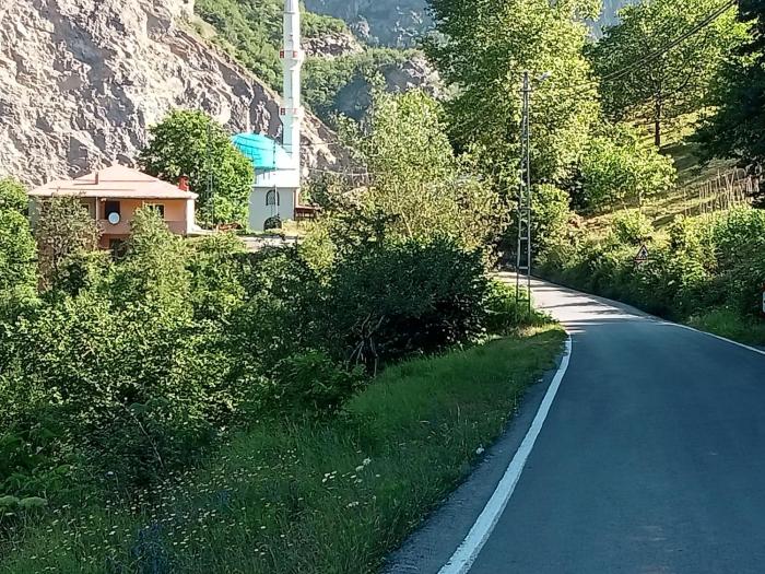 Hamsiköy green garden