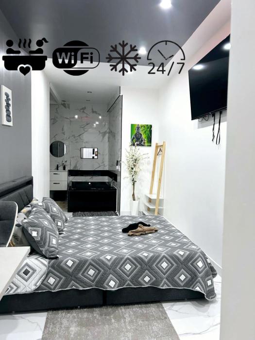 Suite Zen Amaryllis Jacuzzi TV Integrée Clim Wifi Béziers Centre Arrivée Autonome 24h24