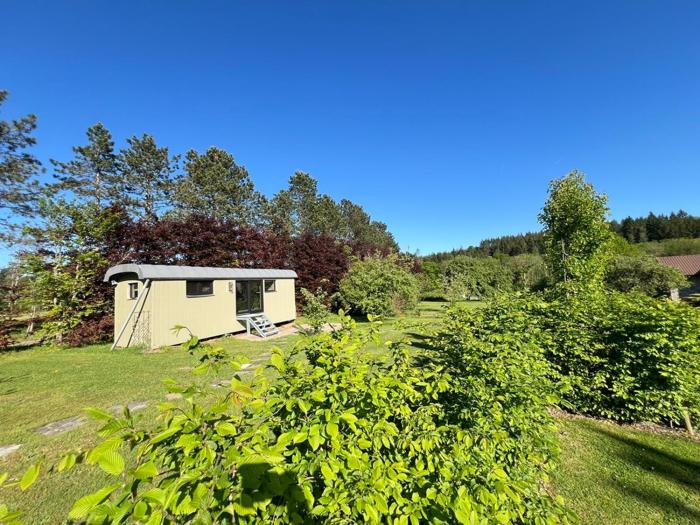 Pine Tree Tiny cottage