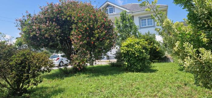 El Rincón Del Silencio