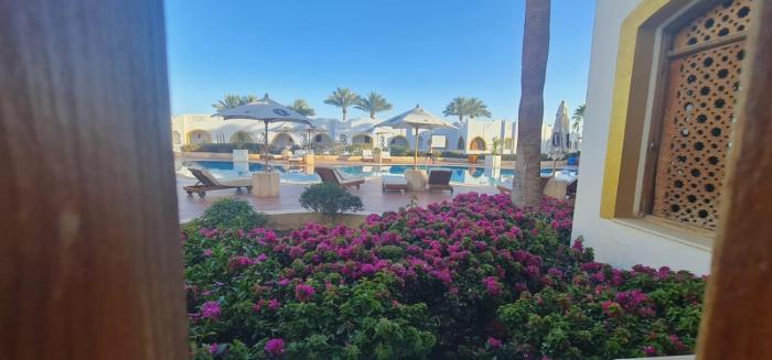 Domina Coral Bay Harem uno