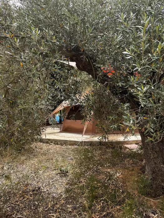 In Our Garden Sardinia - Grano Glamping Tent