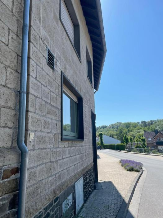 Holunder nah am Waldsee 1