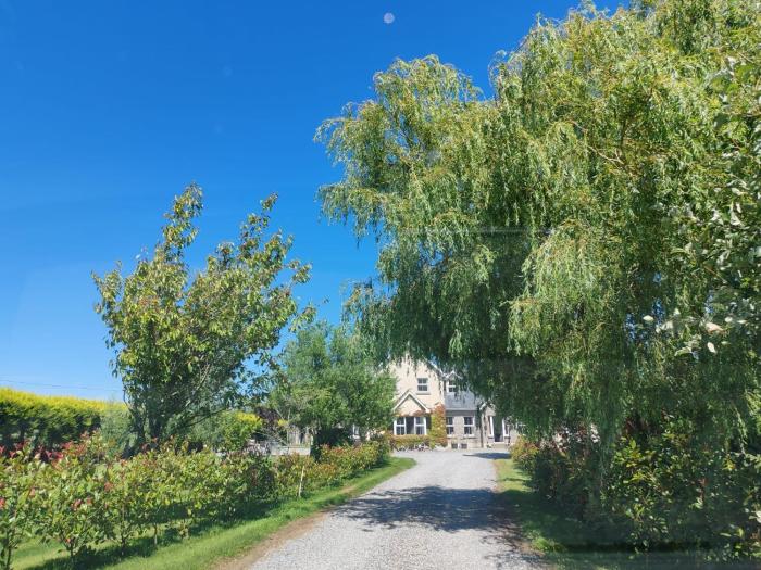 The Free Range Room at The Cracked Hen