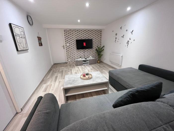 Metz Moulins 2 pièces