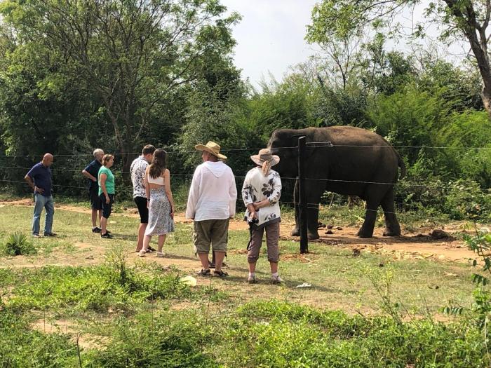Forests for People Nidikumba Safari