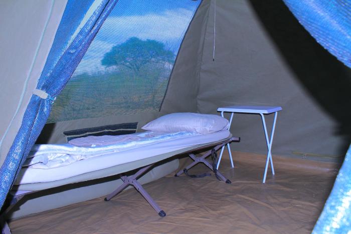 Ntee Safaris and Tours